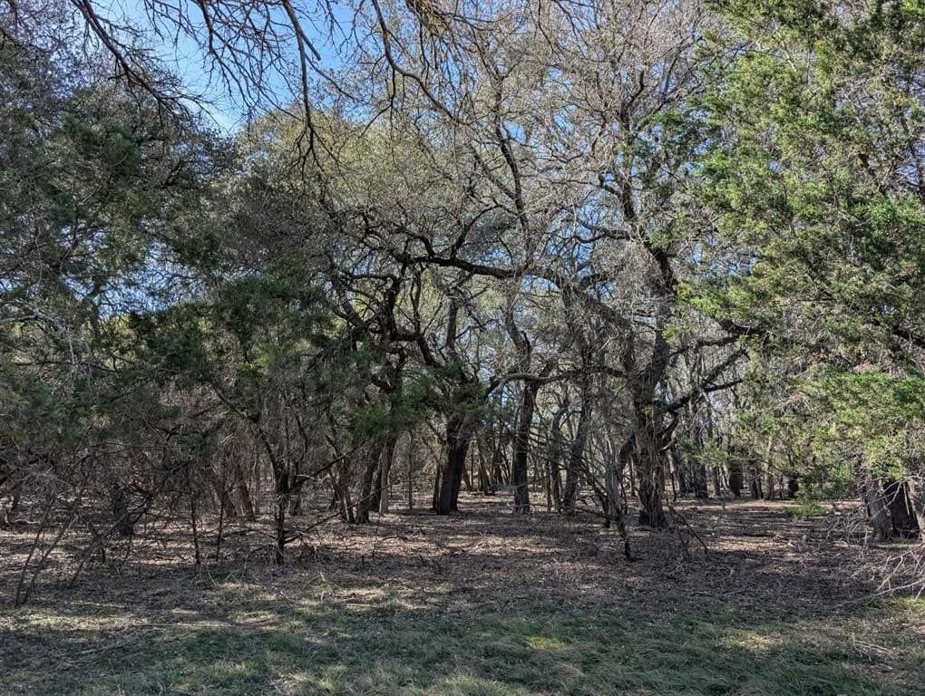 366.47 acres in Burnet County - photo 38