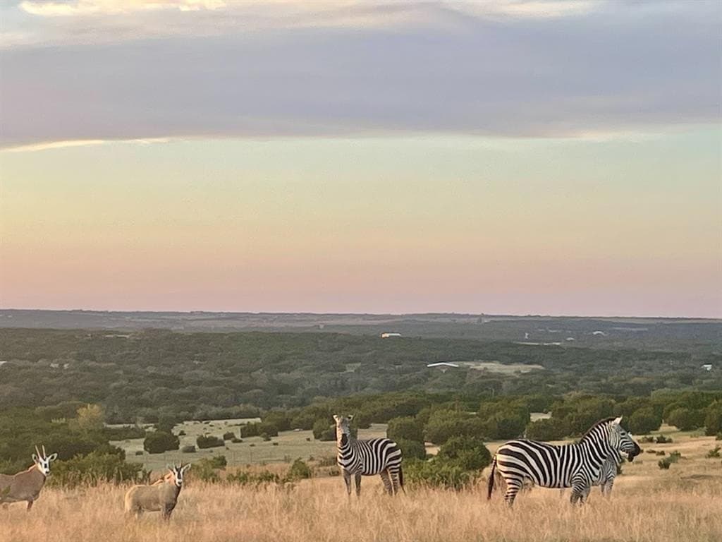 366.47 acres in Burnet County - photo 32