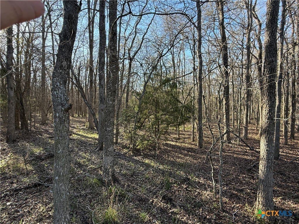 29.5 acres in Guadalupe County - photo 18