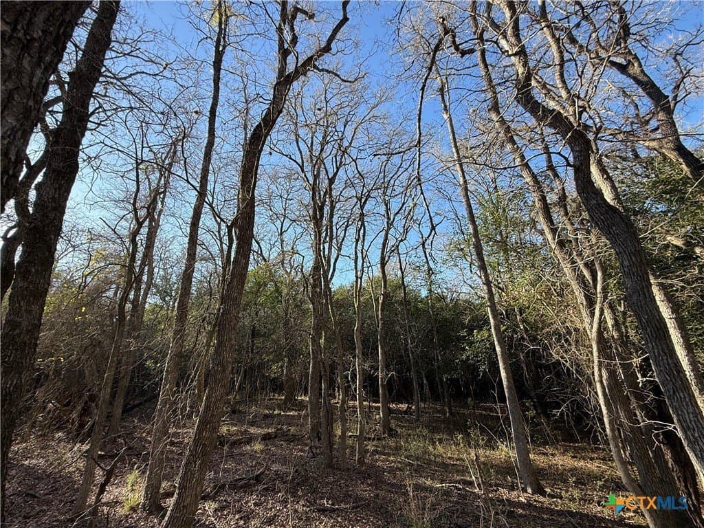 29.5 acres in Guadalupe County - photo 19