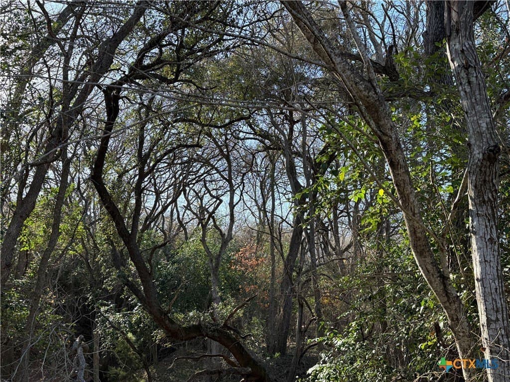29.5 acres in Guadalupe County - photo 11