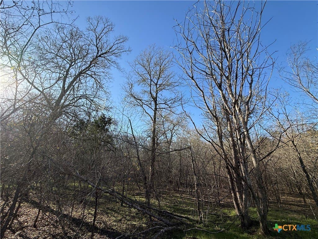 29.5 acres in Guadalupe County - photo 14