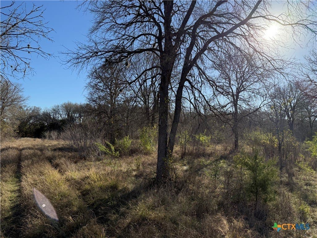 29.5 acres in Guadalupe County - photo 6