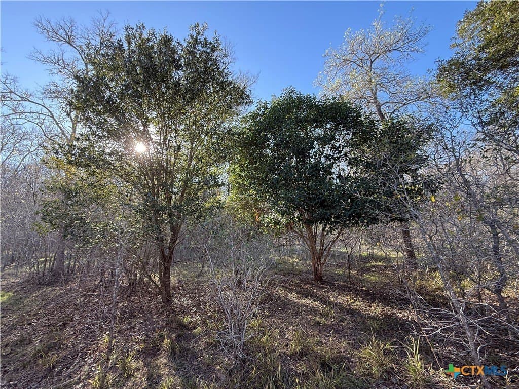 29.5 acres in Guadalupe County - photo 15