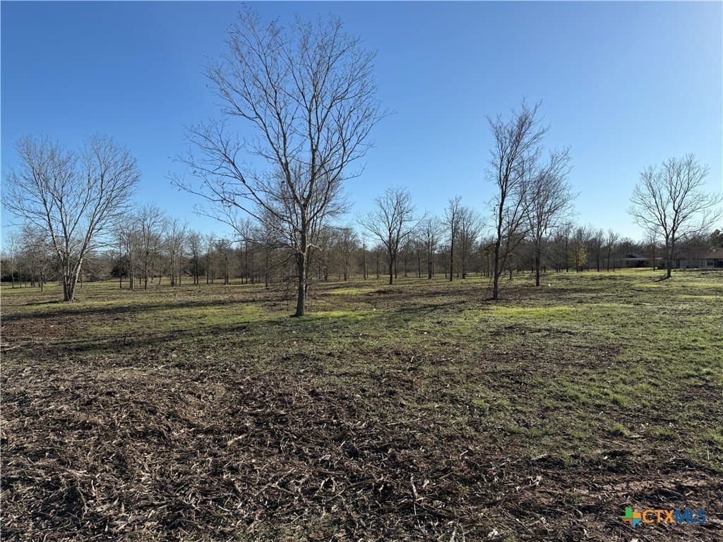 29.5 acres in Guadalupe County - photo 4