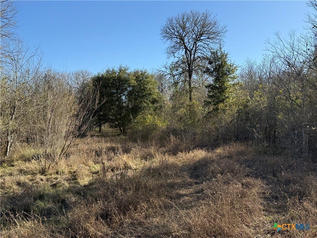 29.5 acres in Guadalupe County - photo 12