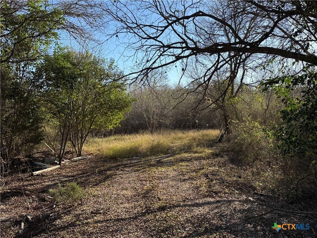 29.5 acres in Guadalupe County - photo 10
