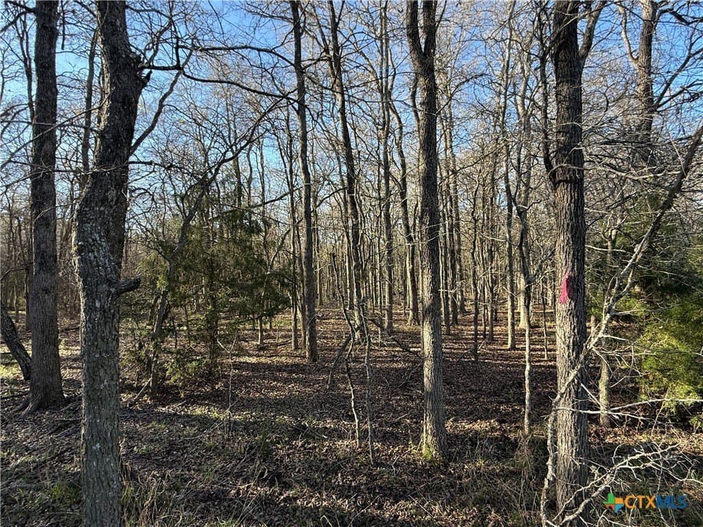 29.5 acres in Guadalupe County - photo 17