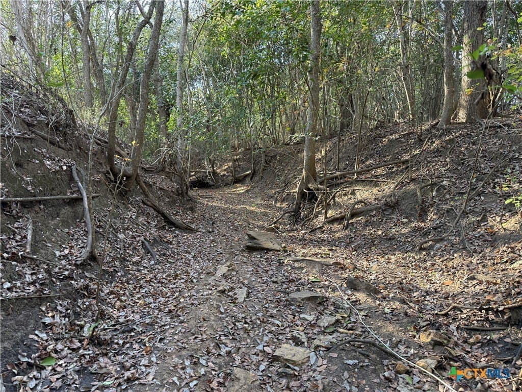 29.5 acres in Guadalupe County - photo 20