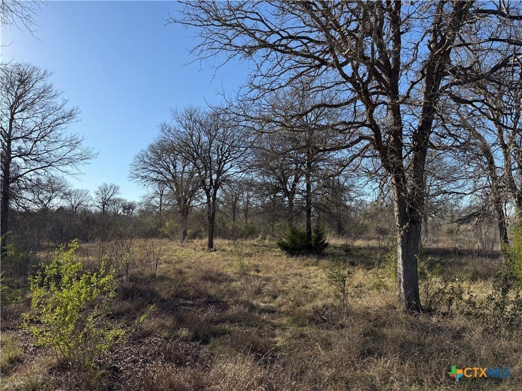 29.5 acres in Guadalupe County - photo 5