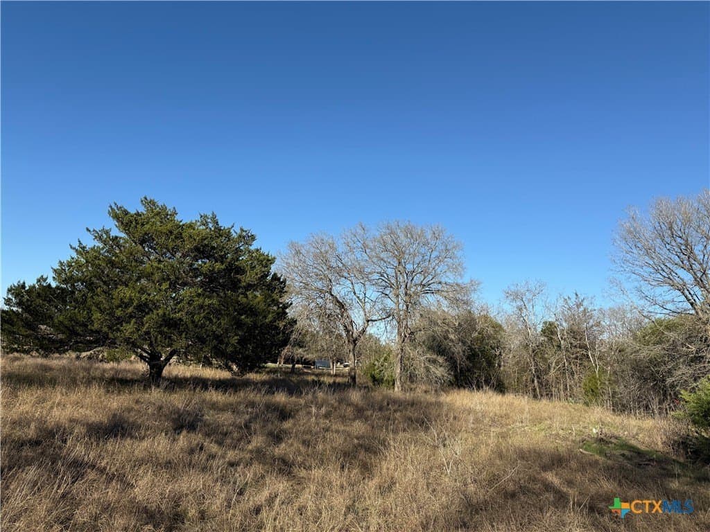 29.5 acres in Guadalupe County - photo 8