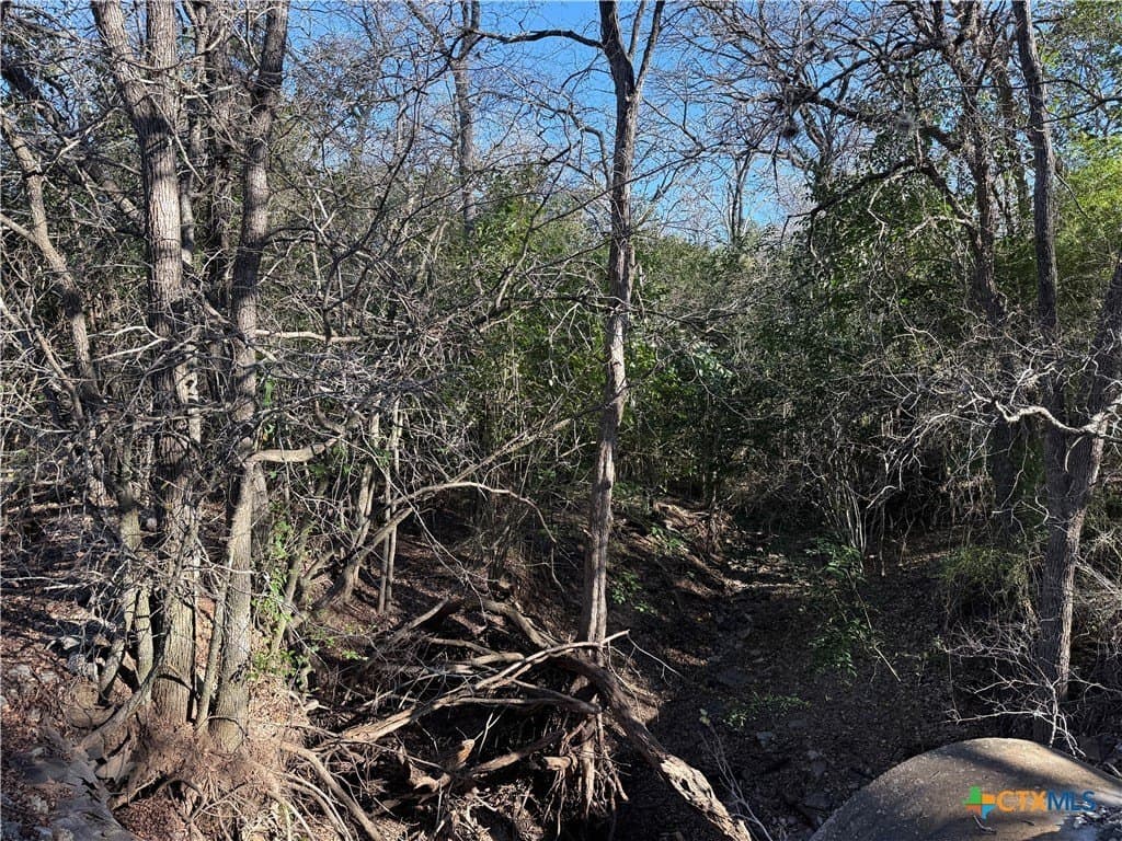 29.5 acres in Guadalupe County - photo 9