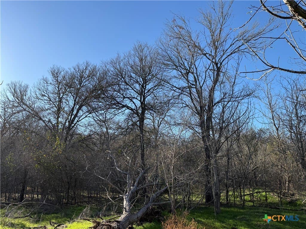 29.5 acres in Guadalupe County - photo 13