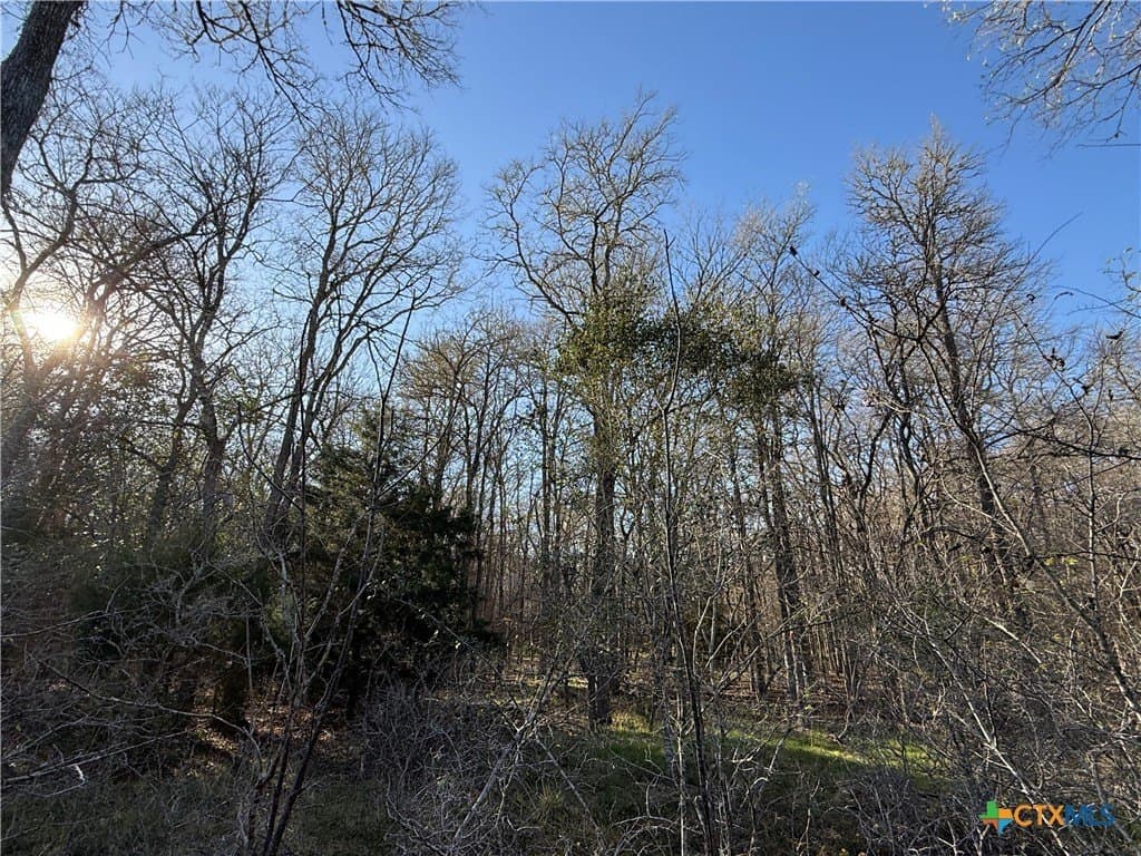 29.5 acres in Guadalupe County - photo 16