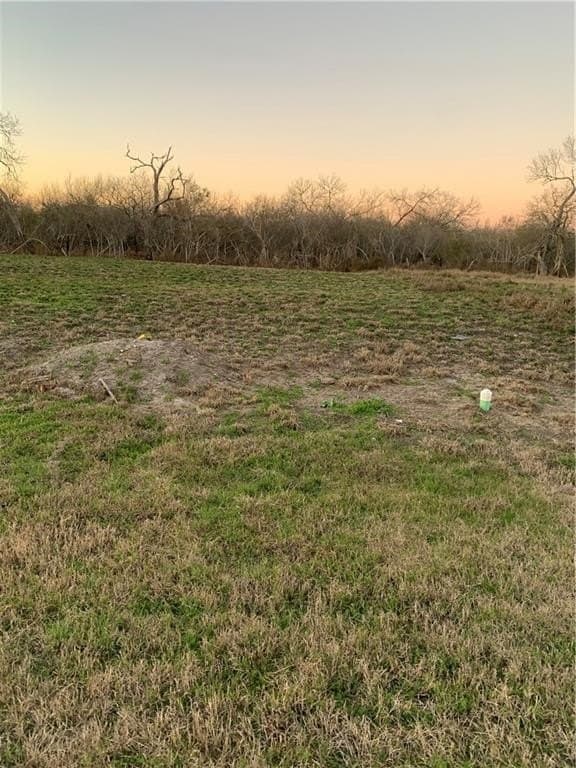 203 E St. Mary's lot: 6