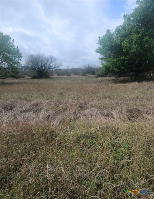 9.6 acres in Victoria County - photo 4