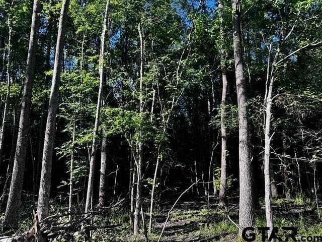 10.01 acres in Van Zandt County - photo 15