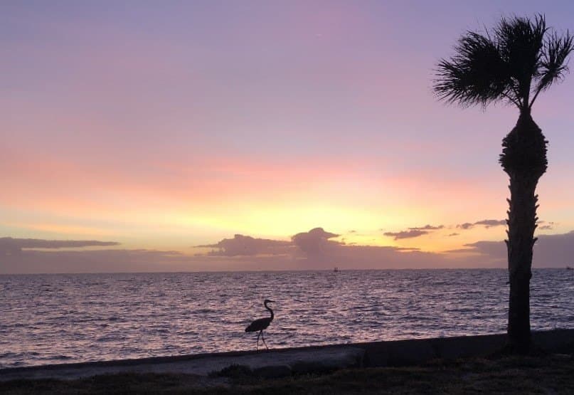 0.11 acres in Aransas County - photo 8