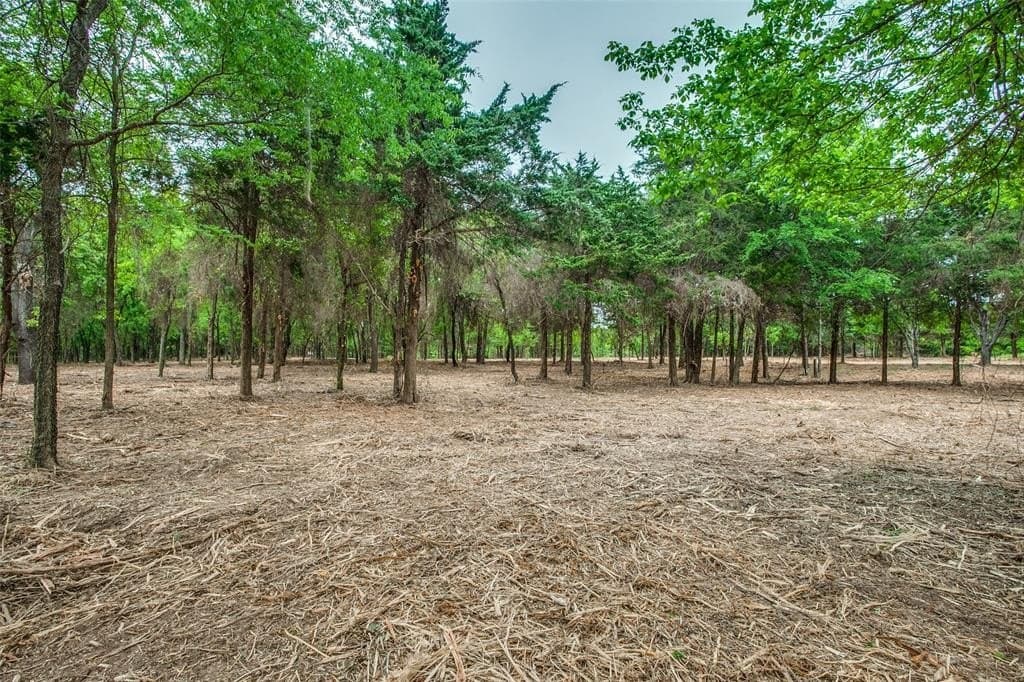 22.79 acres in Denton County - photo 15