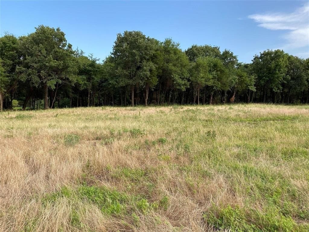 22.79 acres in Denton County - photo 5