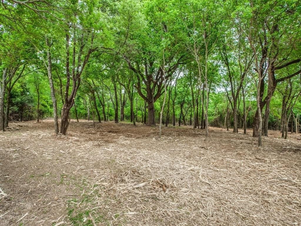 22.79 acres in Denton County - photo 6