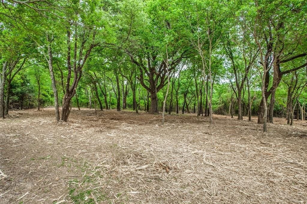 22.79 acres in Denton County - photo 16