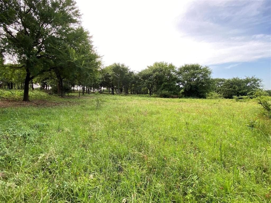 22.79 acres in Denton County - photo 9