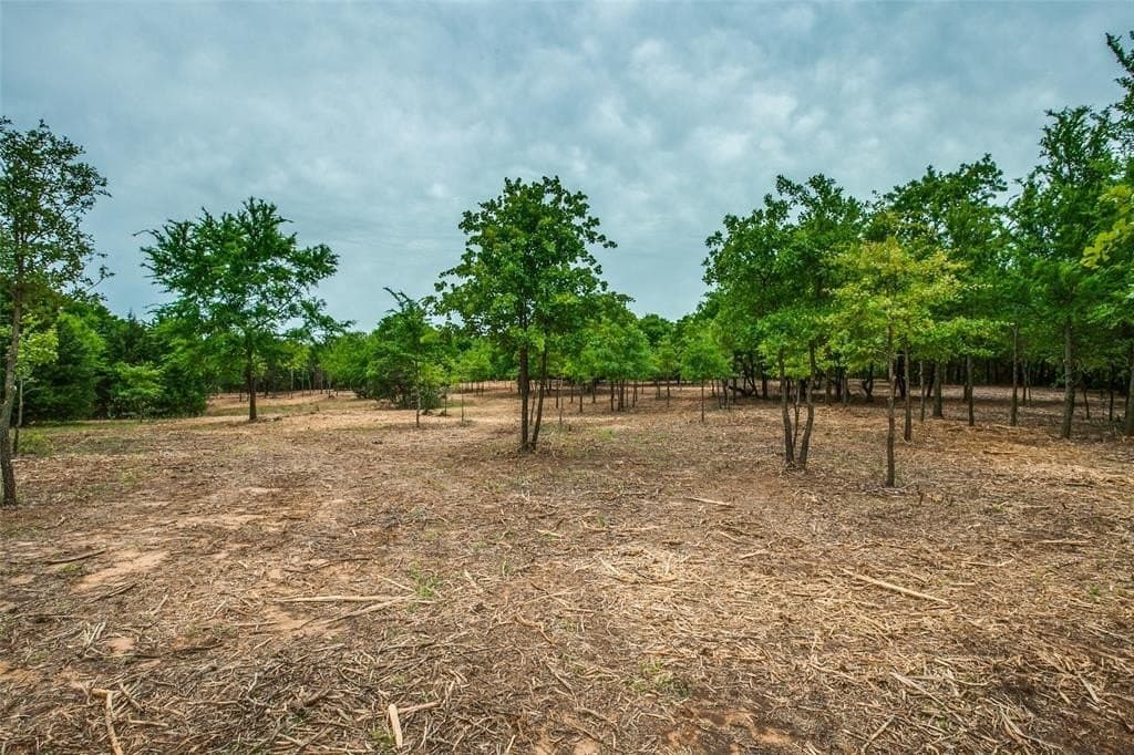 22.79 acres in Denton County - photo 18