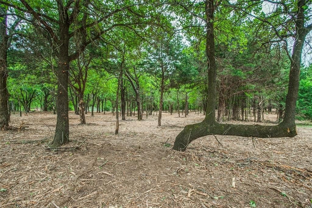 22.79 acres in Denton County - photo 17
