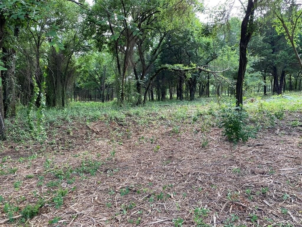 22.79 acres in Denton County - photo 8