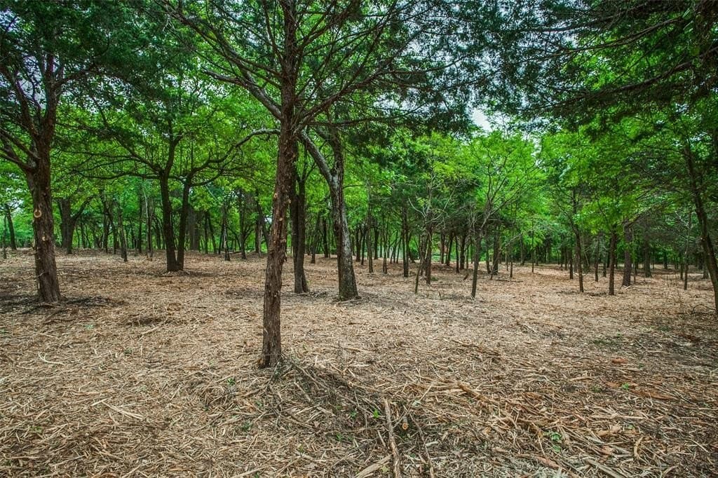 22.79 acres in Denton County - photo 19