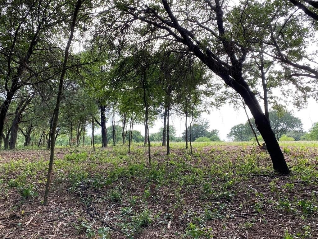 22.79 acres in Denton County - photo 7