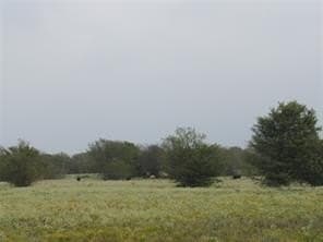39 acres in Hopkins County - photo 3