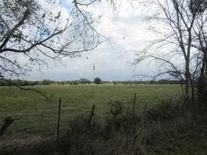 39 acres in Hopkins County - photo 10