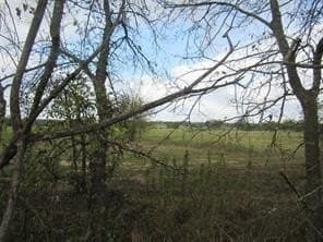 39 acres in Hopkins County - photo 19