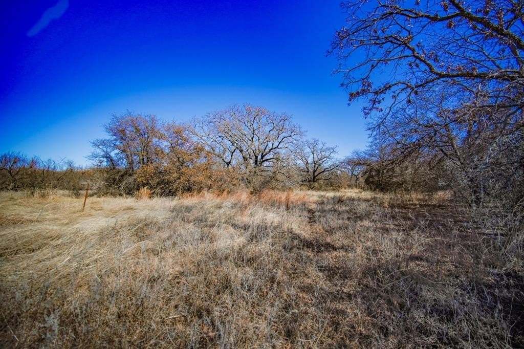 240 acres in Jack County - photo 13