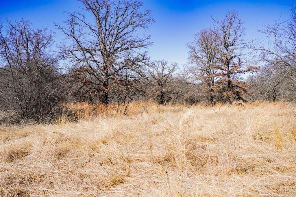 240 acres in Jack County - photo 29