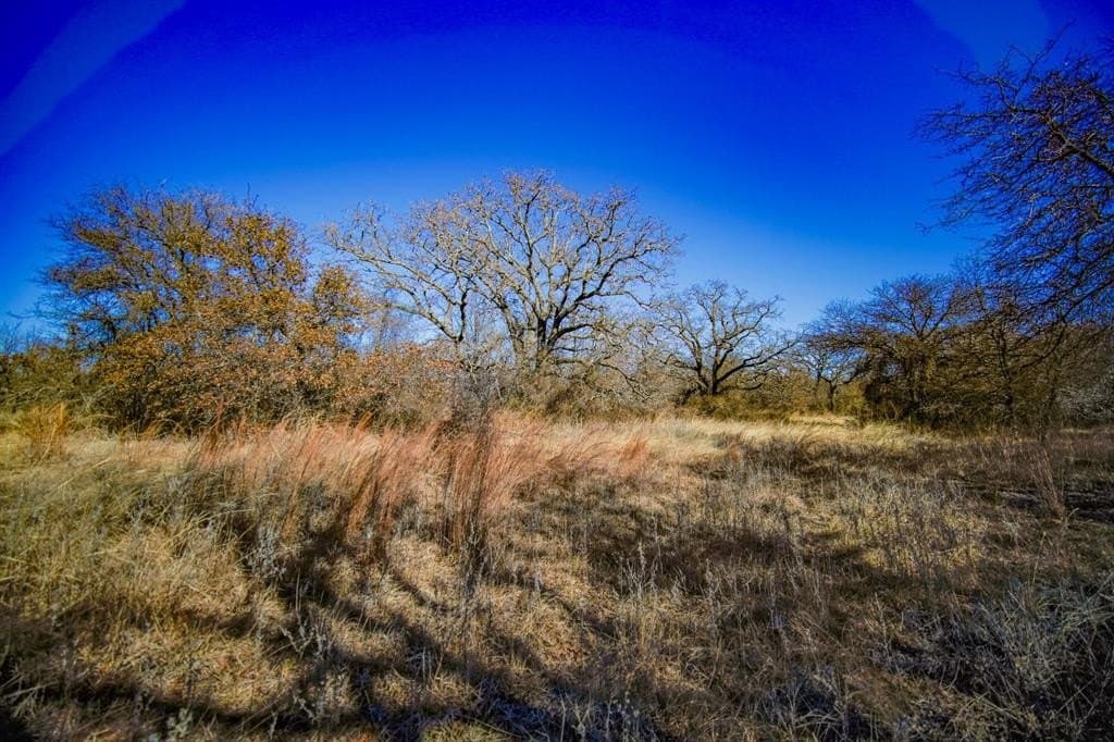 240 acres in Jack County - photo 3