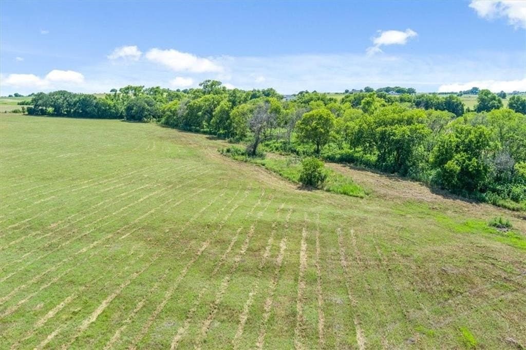 29.3 acres in McLennan County - photo 6