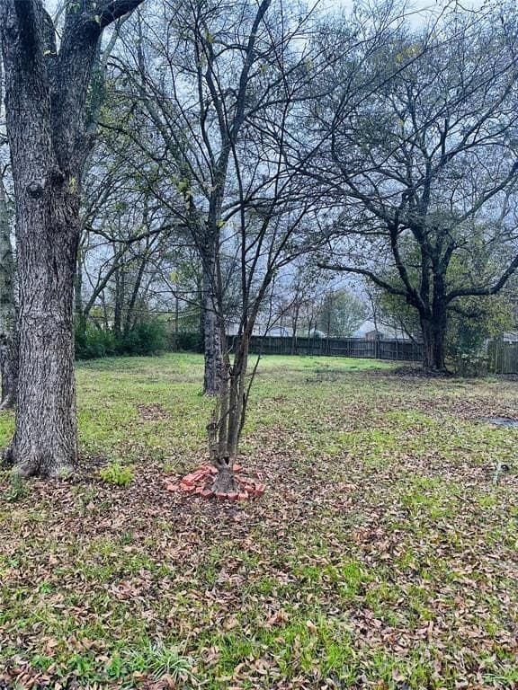 0.17 acres in Rains County - photo 4