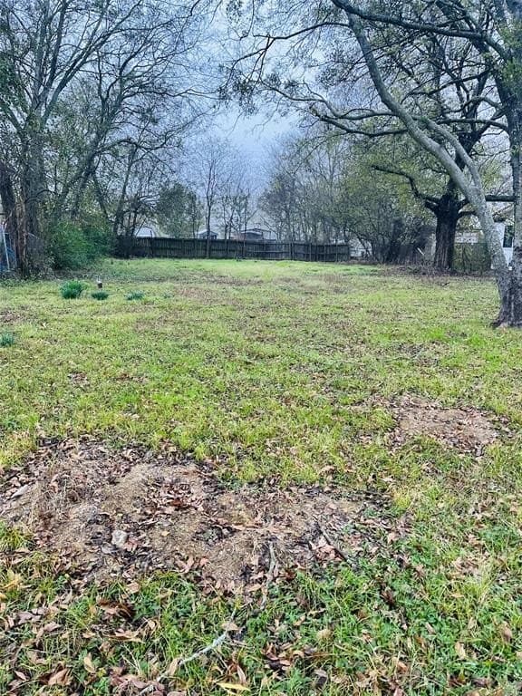 0.17 acres in Rains County - photo 3