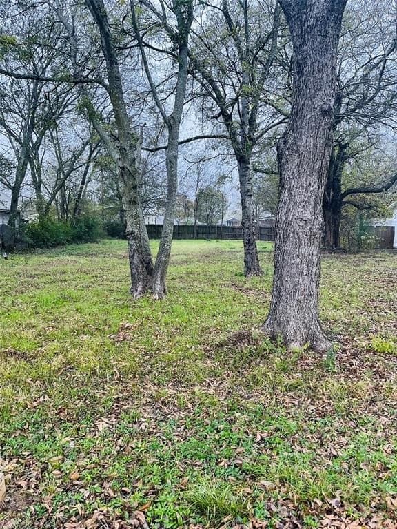 0.17 acres in Rains County - photo 2