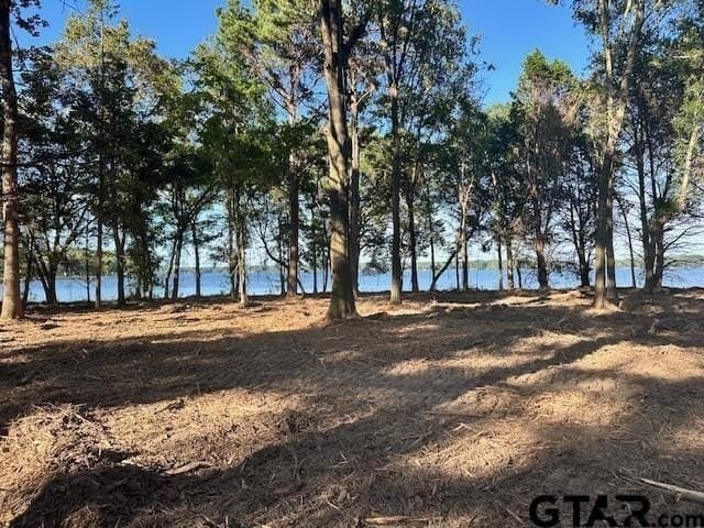 1.28 acres in Anderson County - photo 8