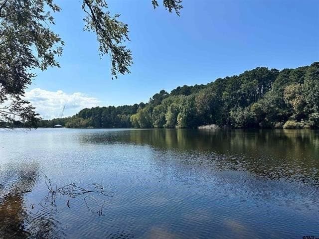 1.28 acres in Anderson County - photo 4