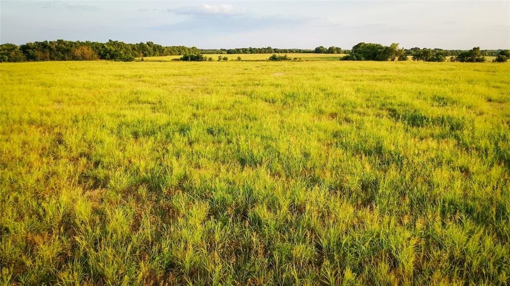 344.31 acres in Lamar County - photo 17