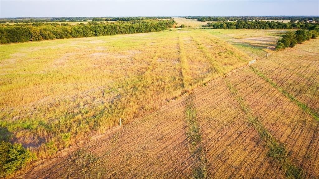 344.31 acres in Lamar County - photo 19
