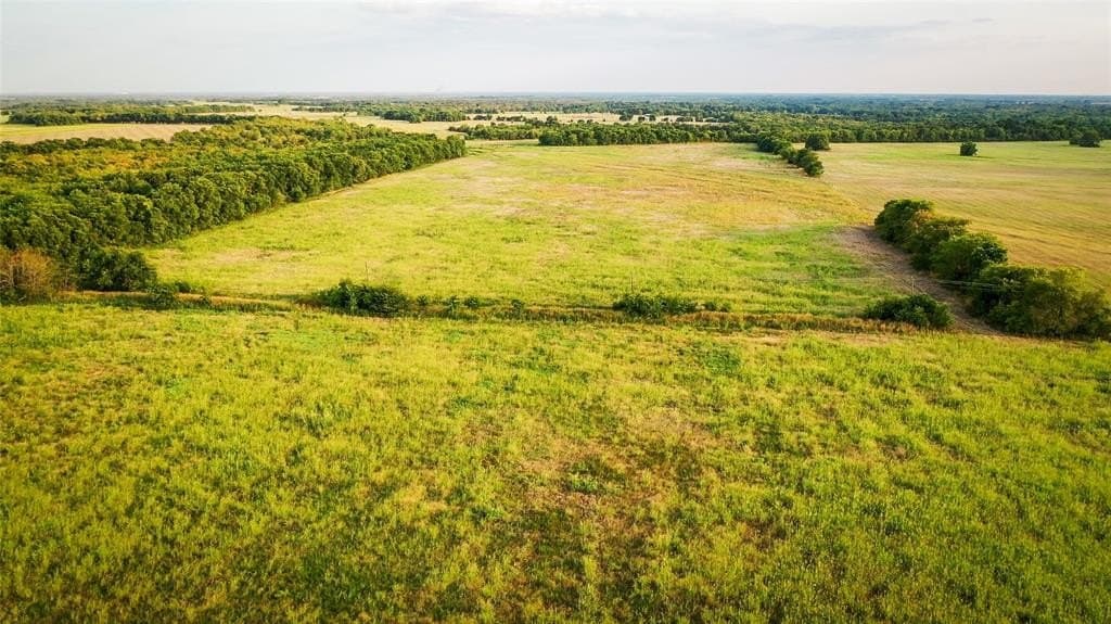 344.31 acres in Lamar County - photo 7