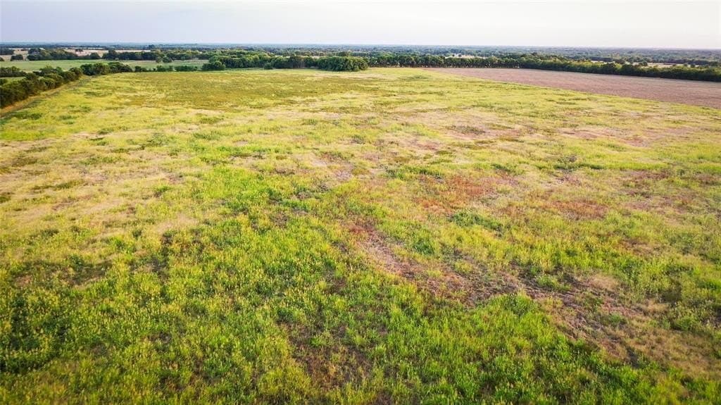 344.31 acres in Lamar County - photo 26