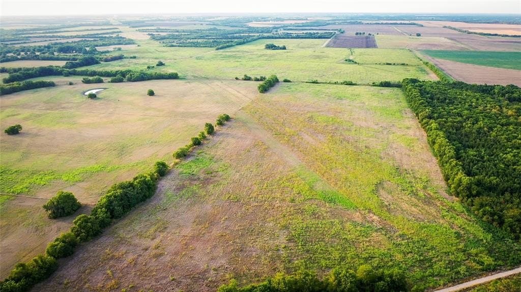 344.31 acres in Lamar County - photo 9
