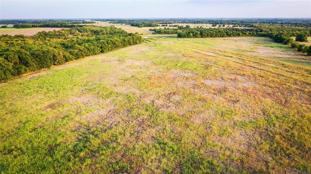 344.31 acres in Lamar County - photo 24